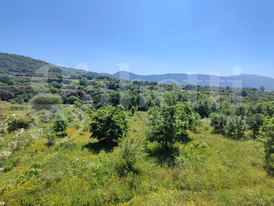 Casa Indipendente - Image 16