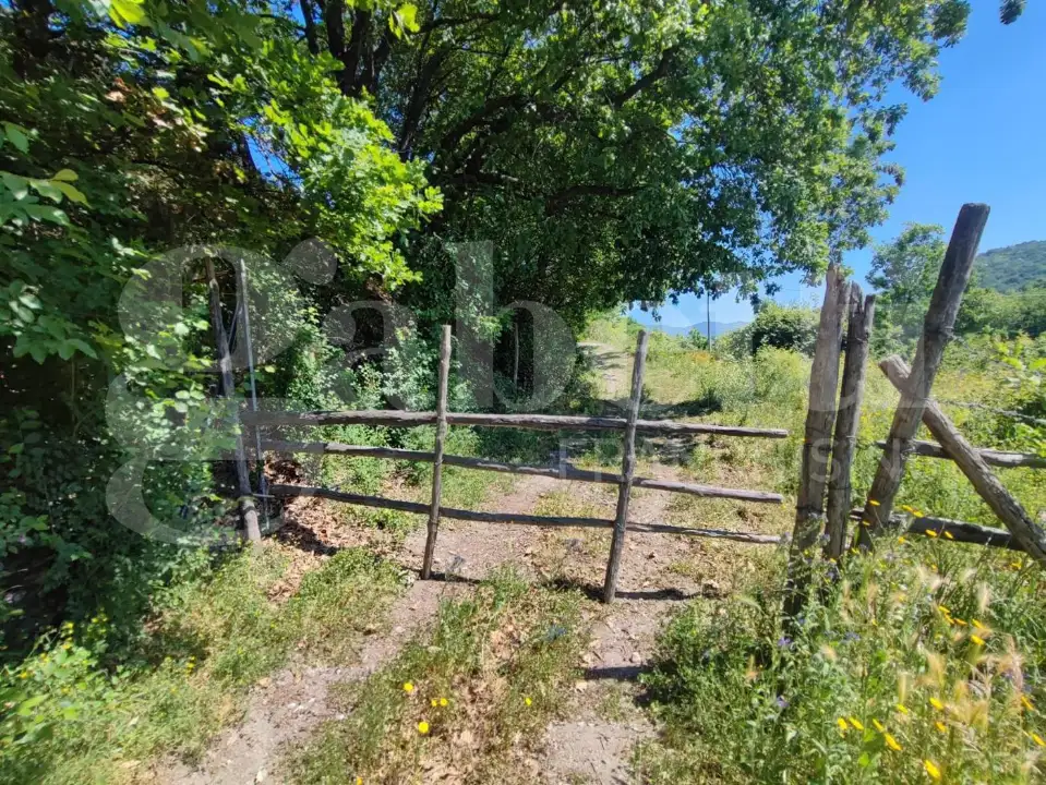 Casa Indipendente - Image 7