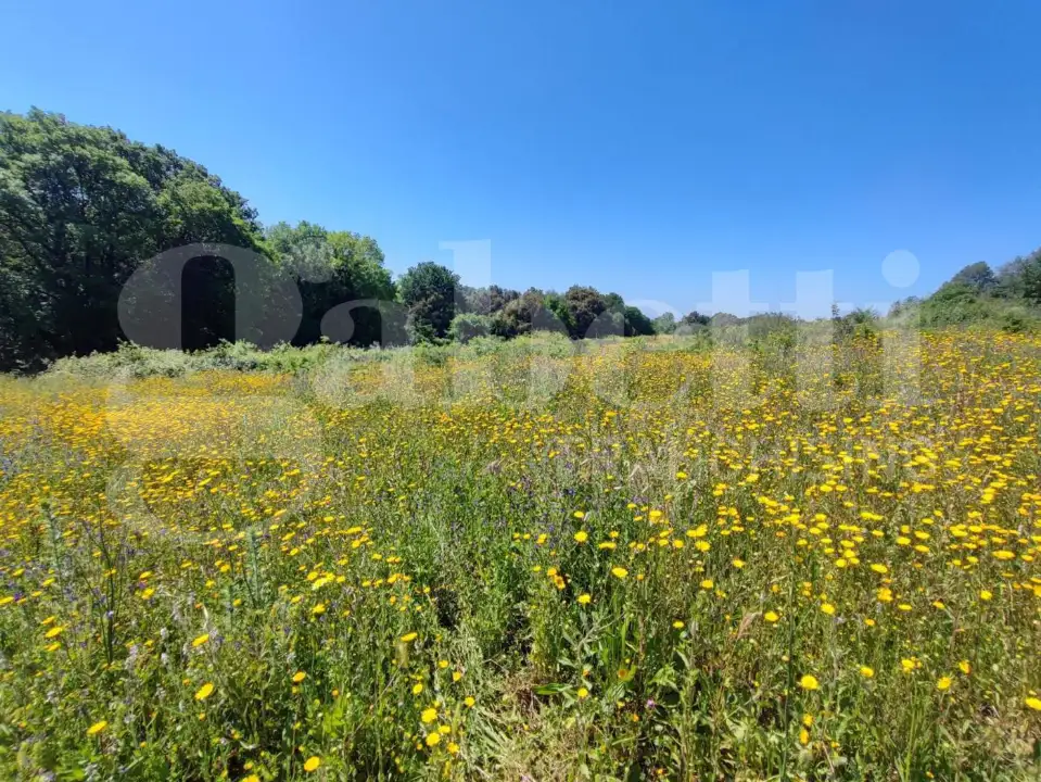 Casa Indipendente - Image 9
