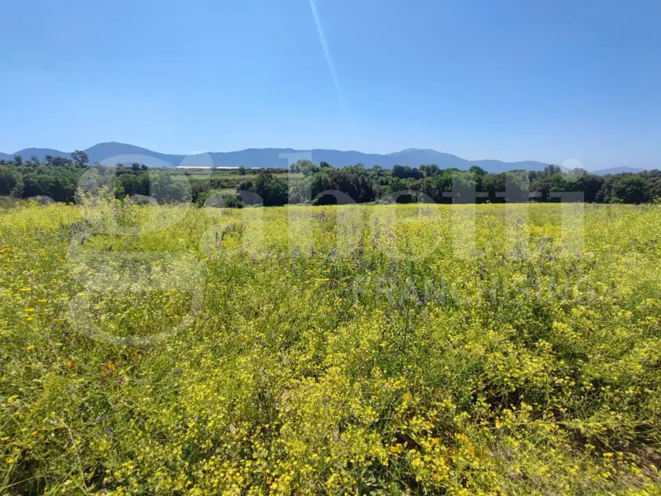 Casa Indipendente - Image 6