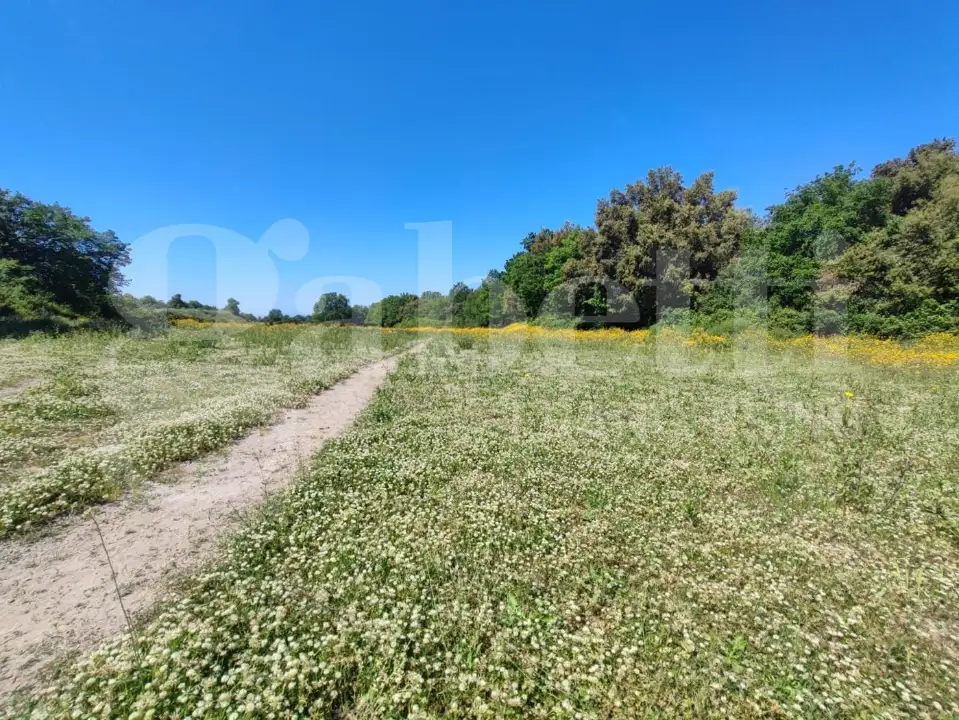 Casa Indipendente - Image 13