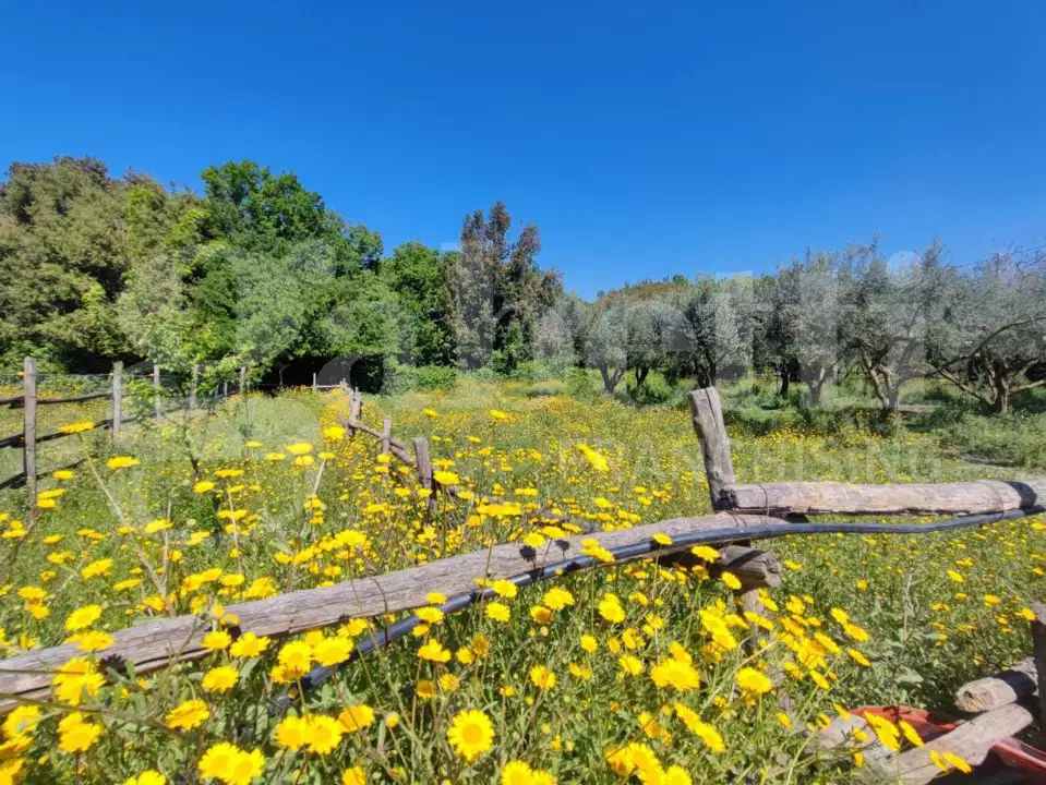 Casa Indipendente - Image 12