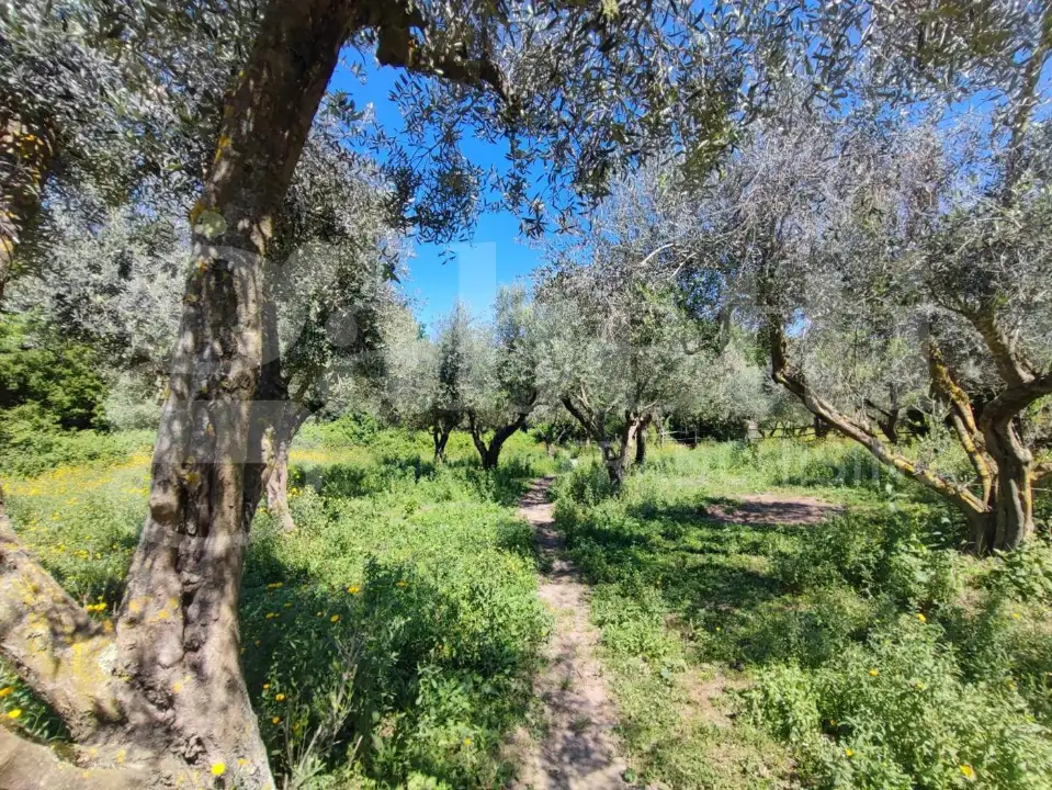 Casa Indipendente - Image 11