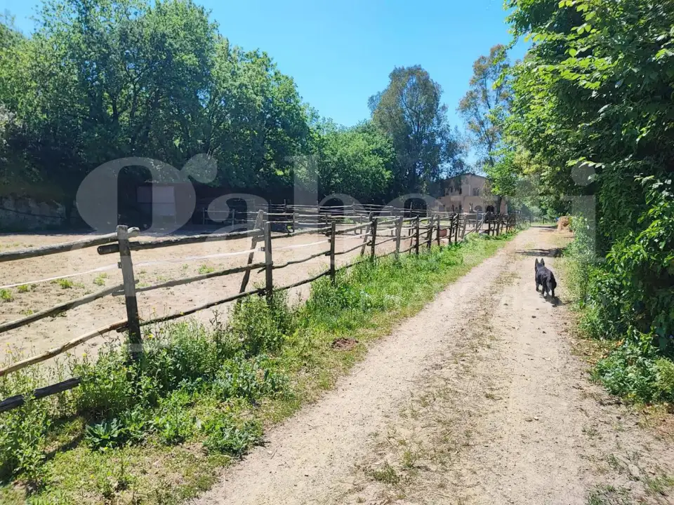 Casa Indipendente - Image 2