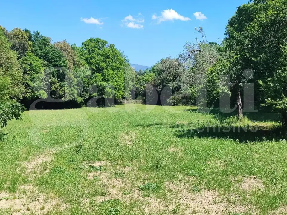 Casa Indipendente - Image 4