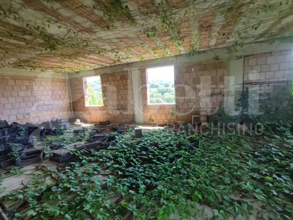 Casa Indipendente - Image 3