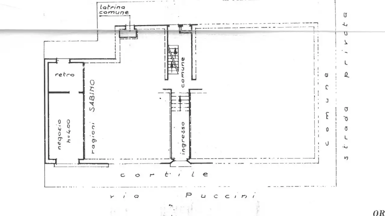 Negozio - Planimetry 1