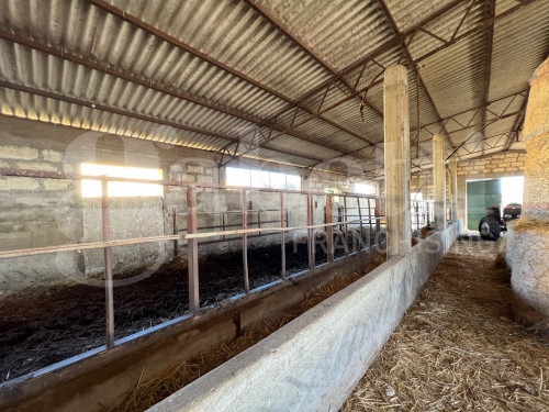 Casa Indipendente - Image 39