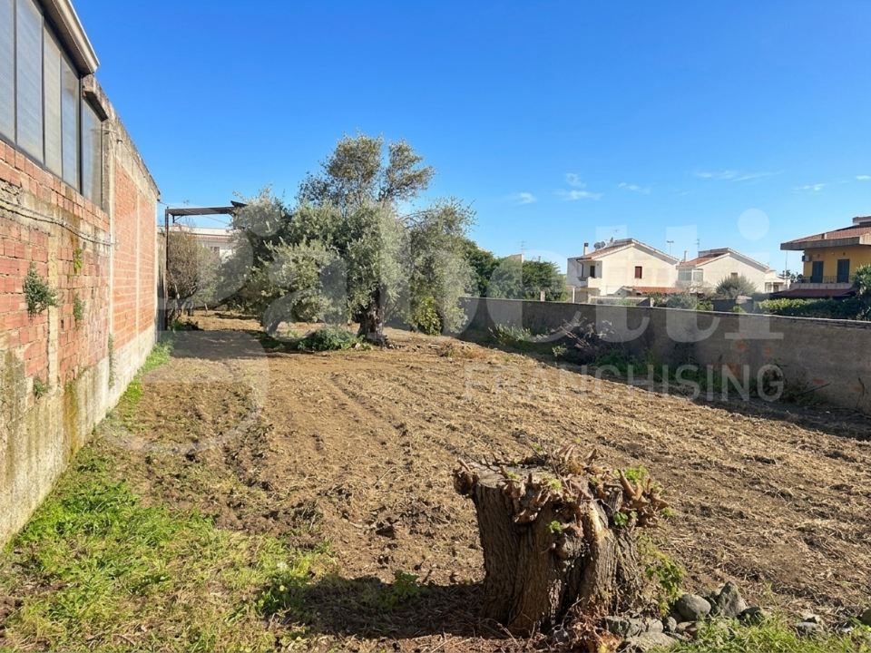 Terreno - Image 4