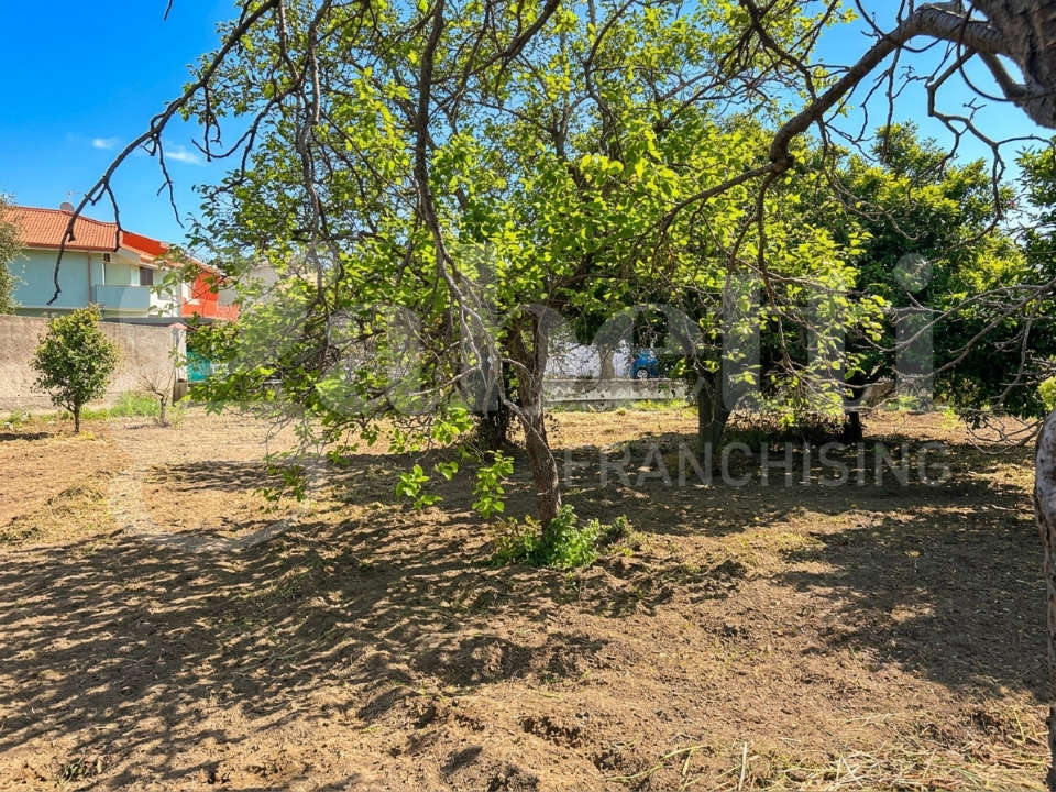 Terreno - Image 3