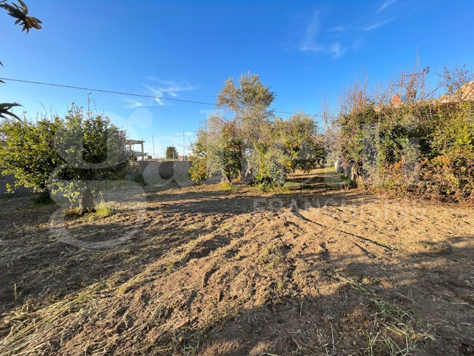 Terreno - Image 5