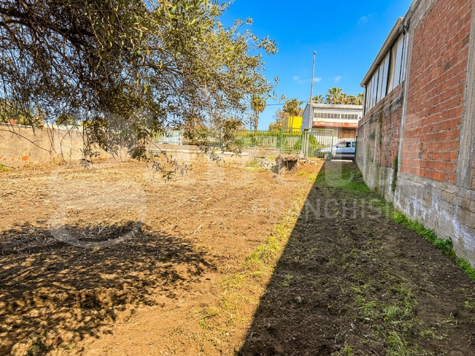 Terreno - Image 2