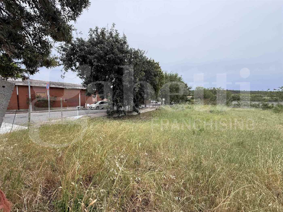 Terreno - Image 4