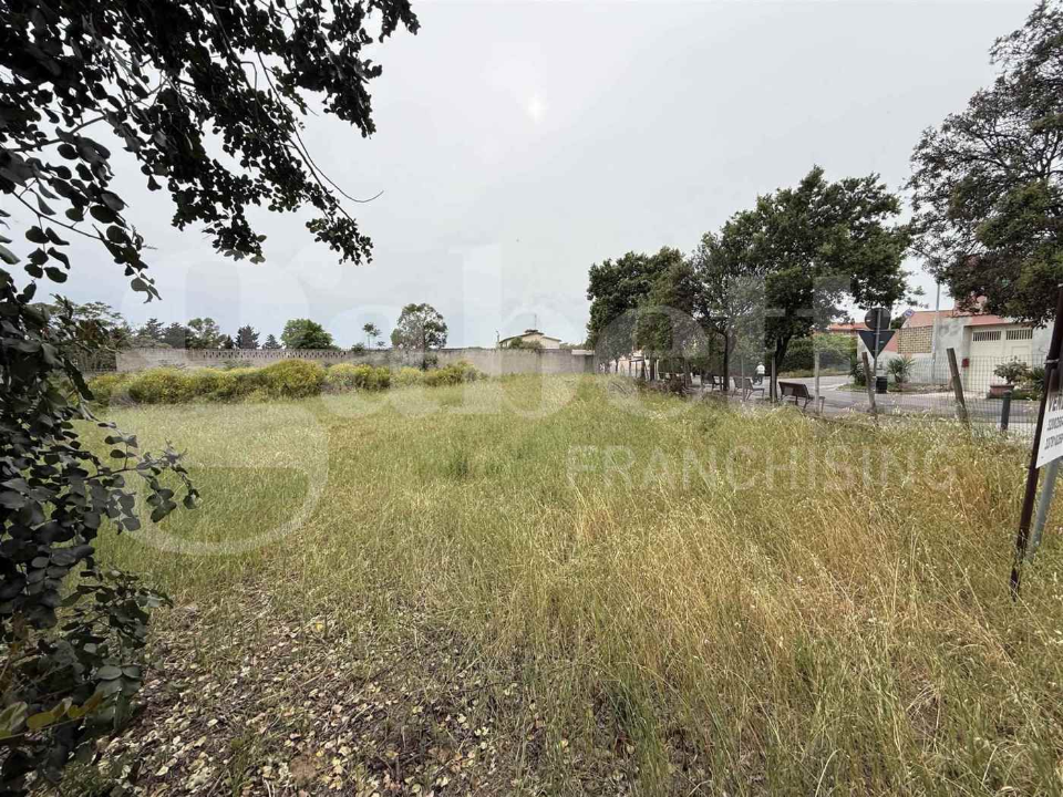 Terreno - Image 1