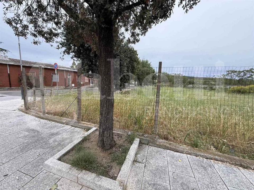 Terreno - Image 3