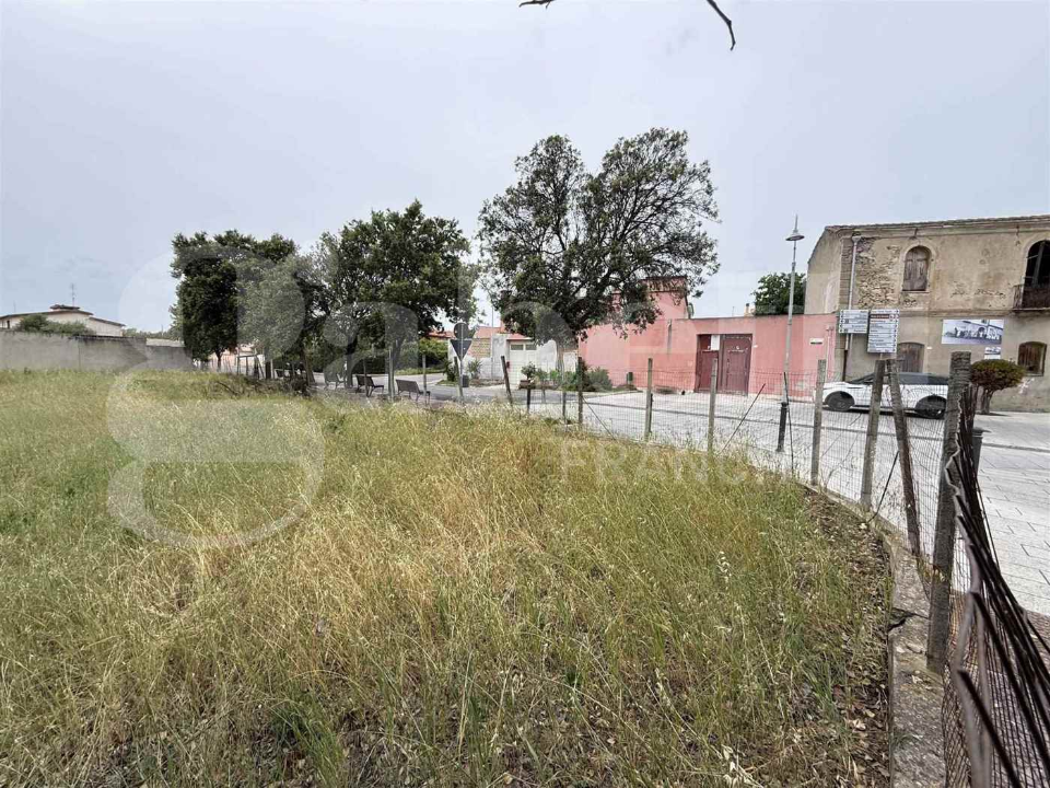 Terreno - Image 2