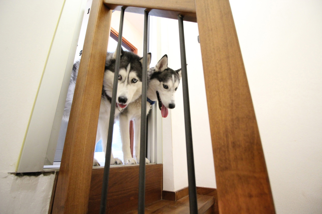 Appartamento - Image 15