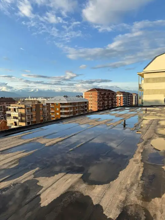 Appartamento - Image 4