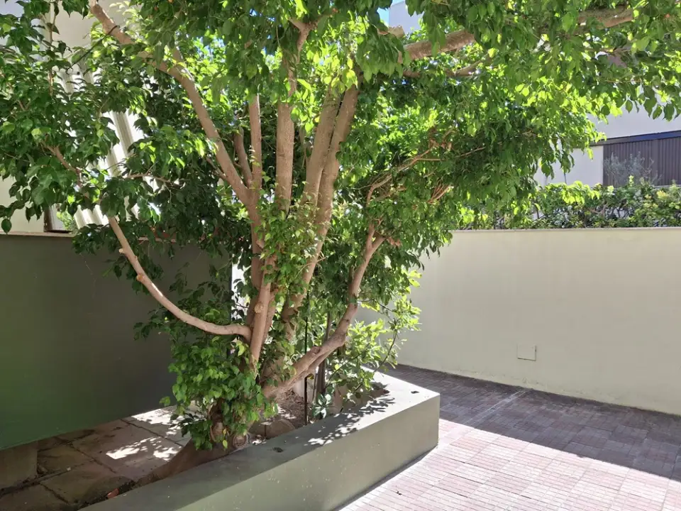 Appartamento - Image 4