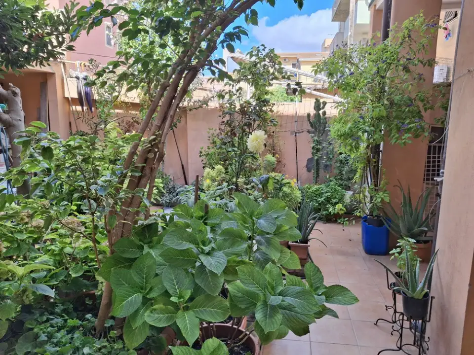 Appartamento - Image 24