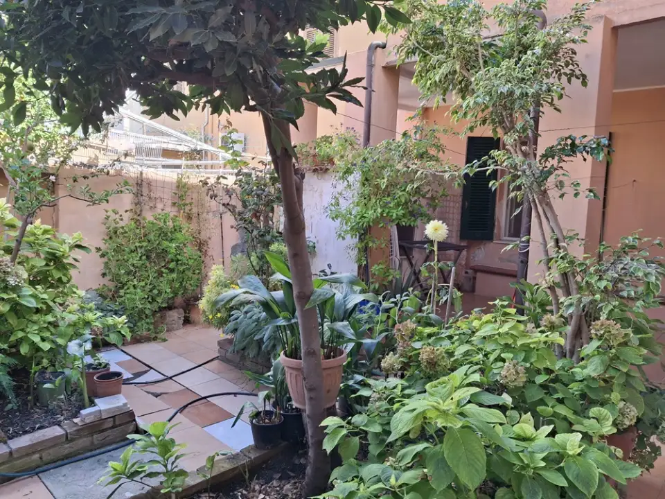 Appartamento - Image 23