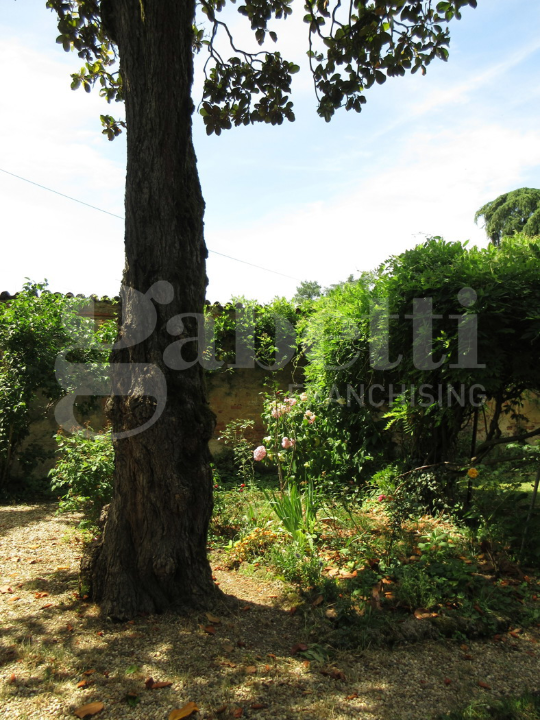 Villa - Image 46