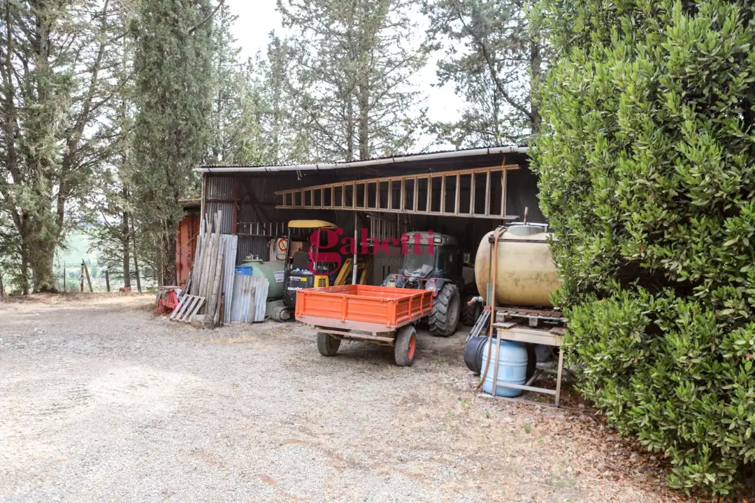 Appartamento - Image 3