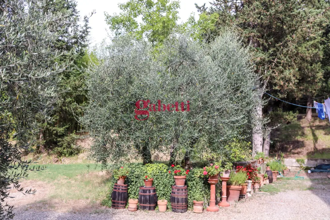 Appartamento - Image 8