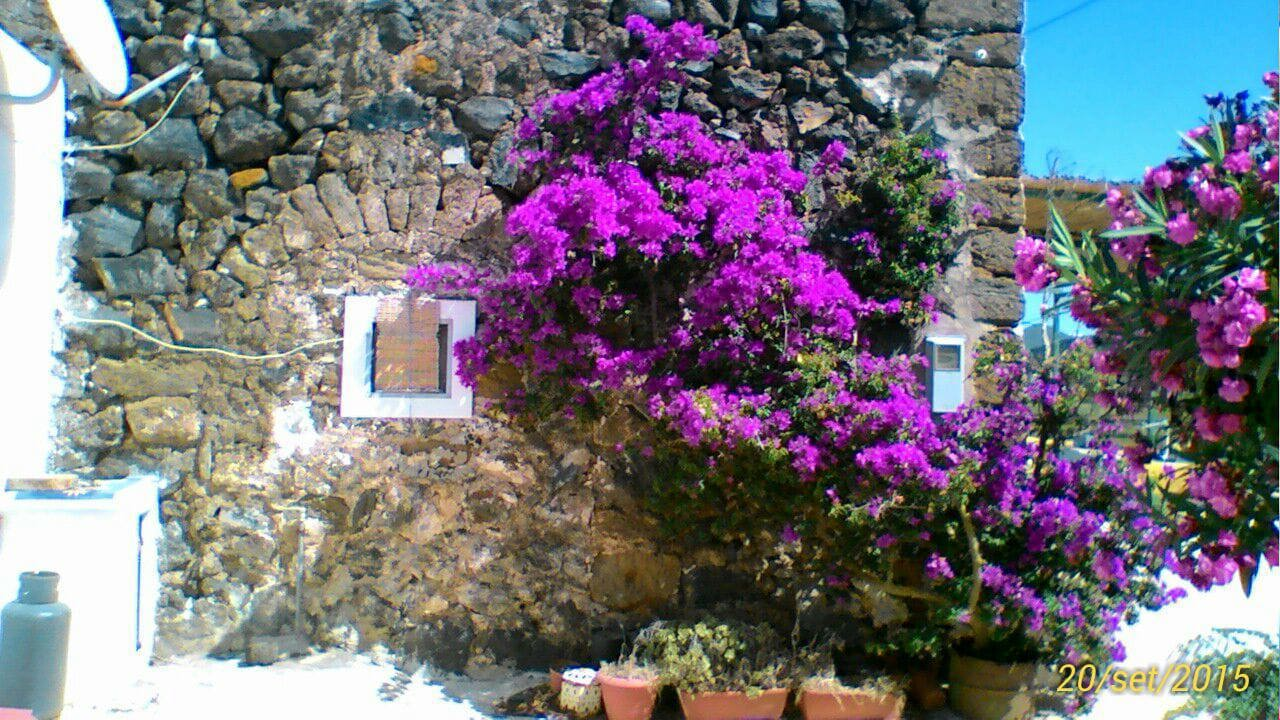 Casa Indipendente - Image 20