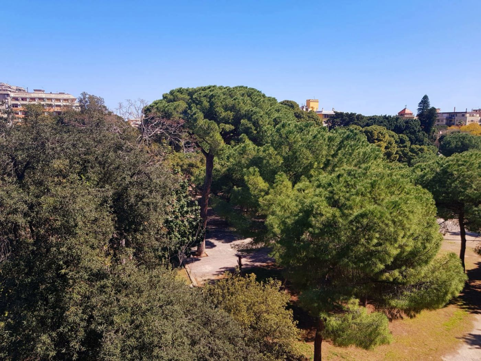 Appartamento - Image 17