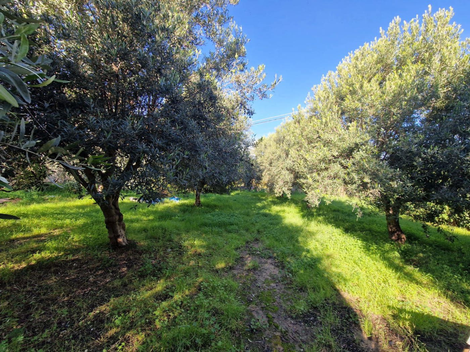 Appartamento - Image 13