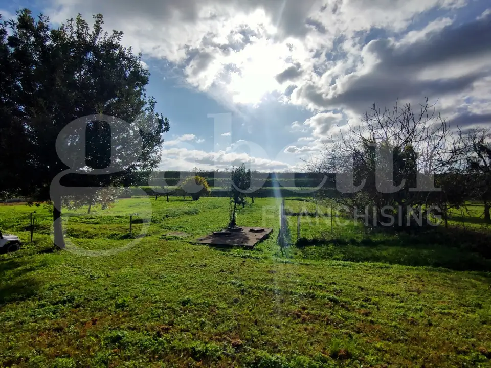 Appartamento - Image 11