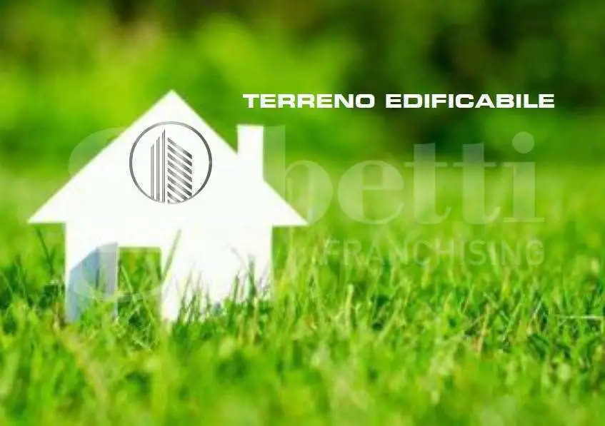 Terreno - Image 3