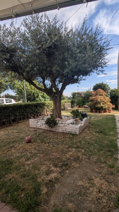 Appartamento - Image 24