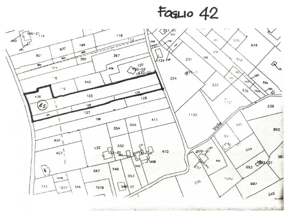 Terreno - Planimetry 1