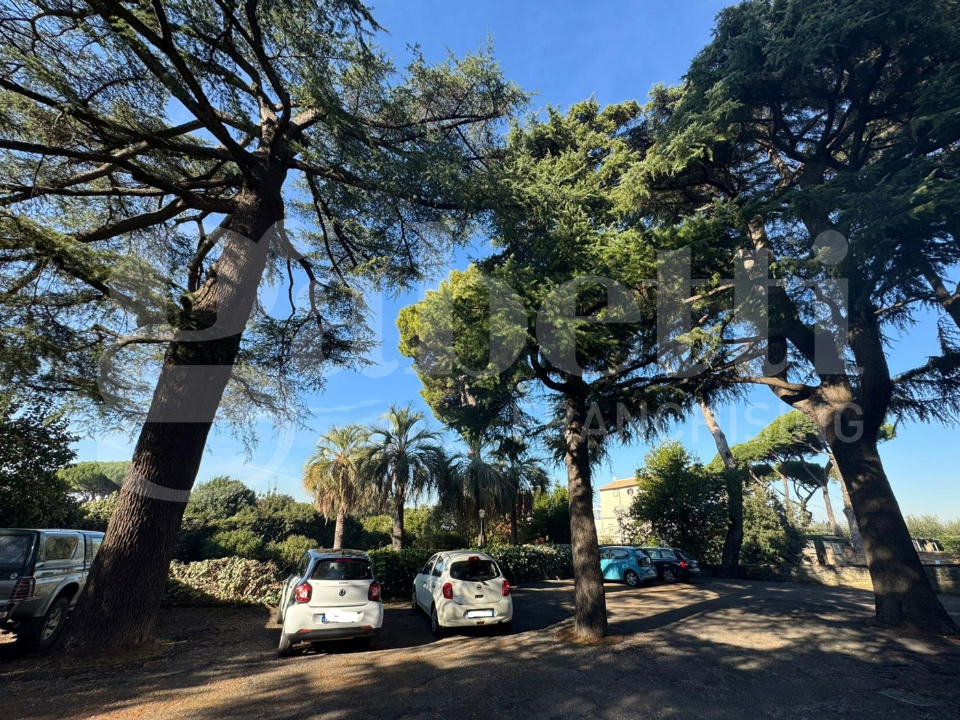 Appartamento - Image 4