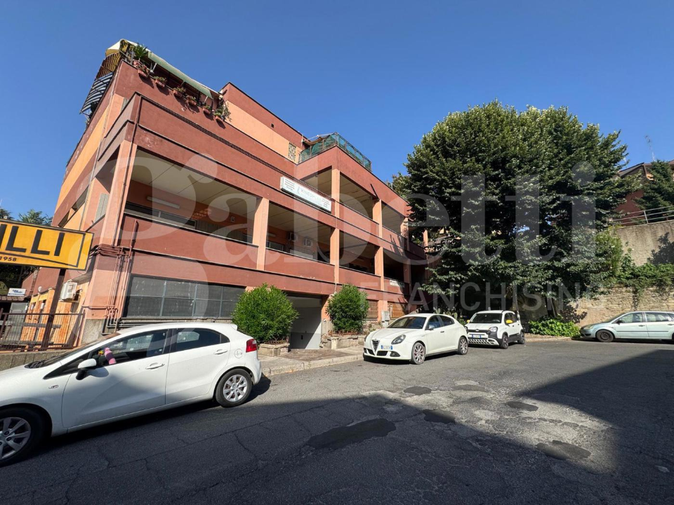 Negozio - Image 1