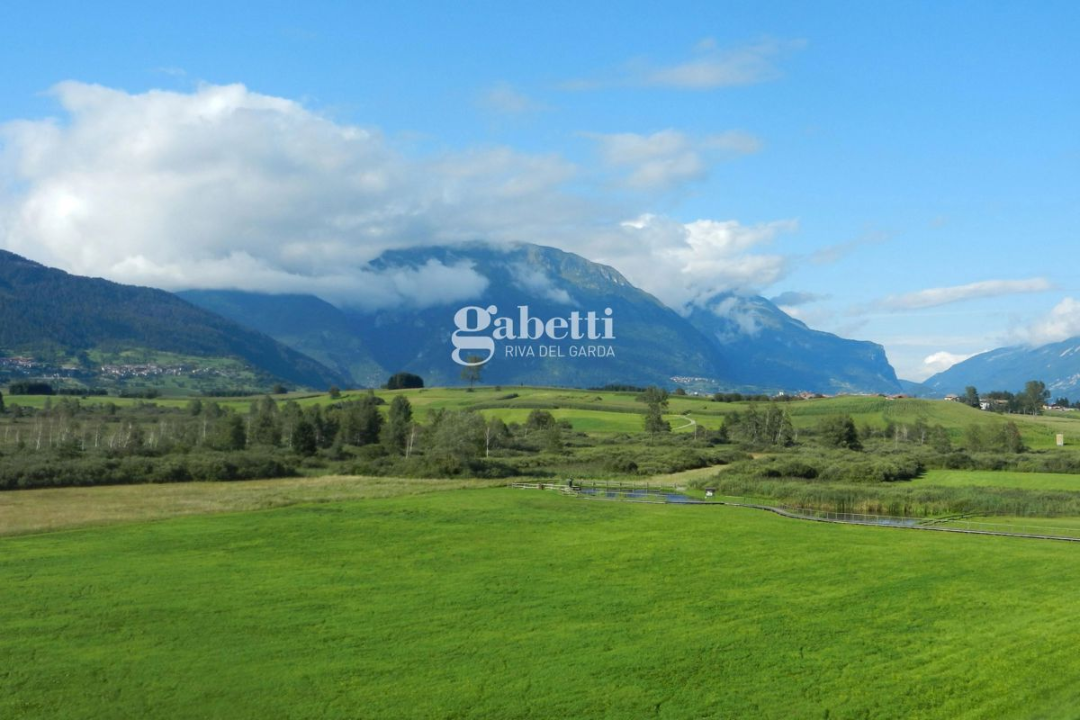 Casa Indipendente - Image 5