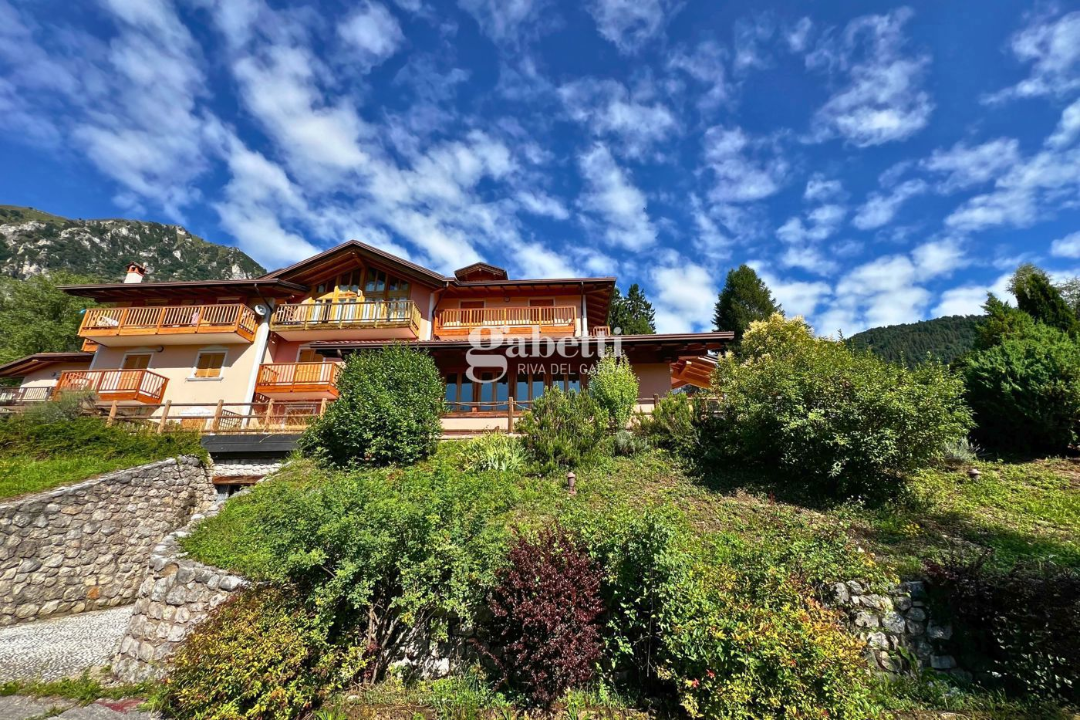 Attività - Image 15