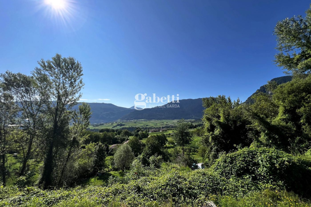 Attività - Image 14