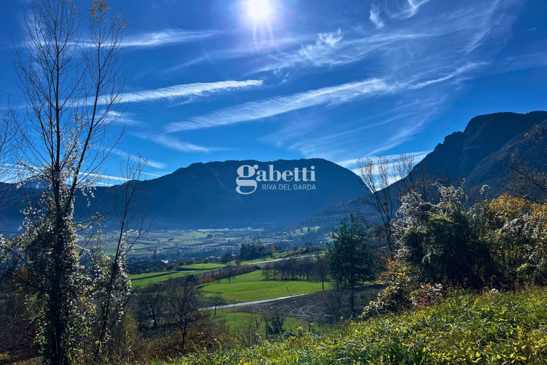 Appartamento - Image 15