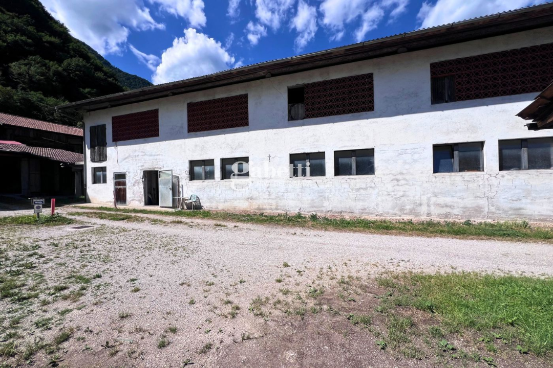 Terreno - Image 12