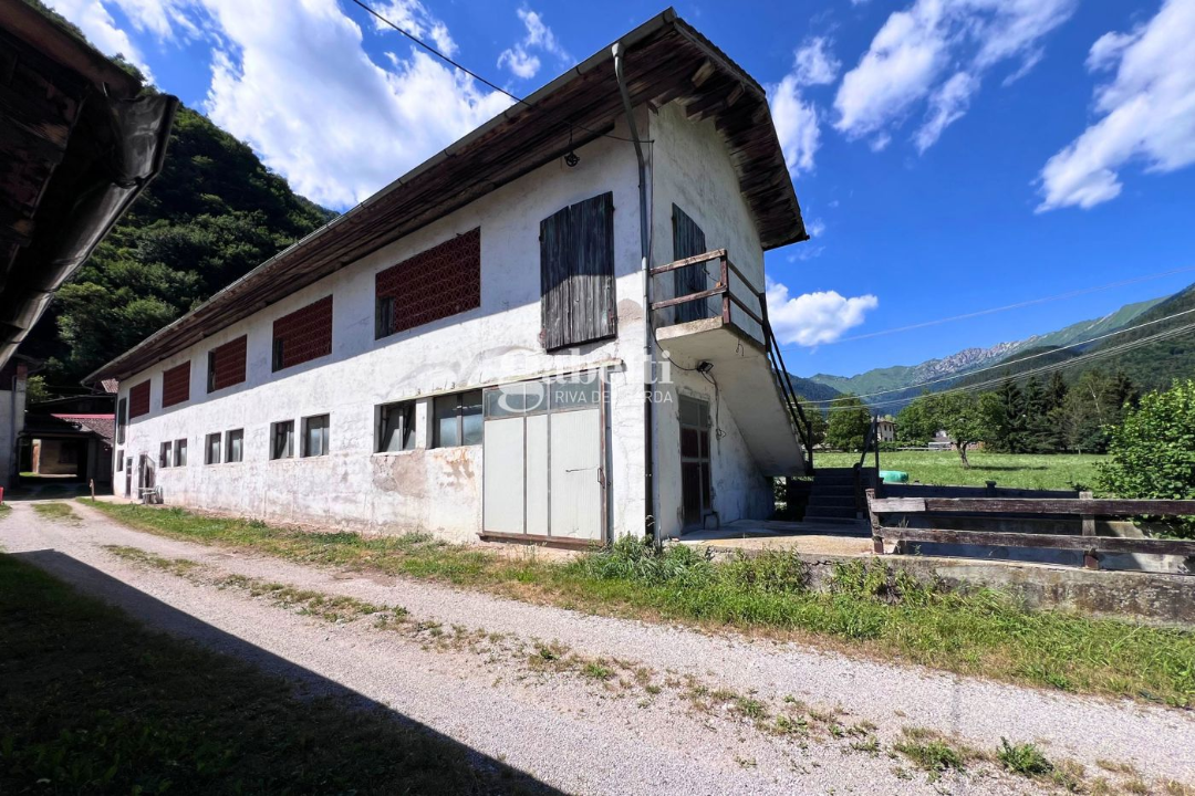 Terreno - Image 11