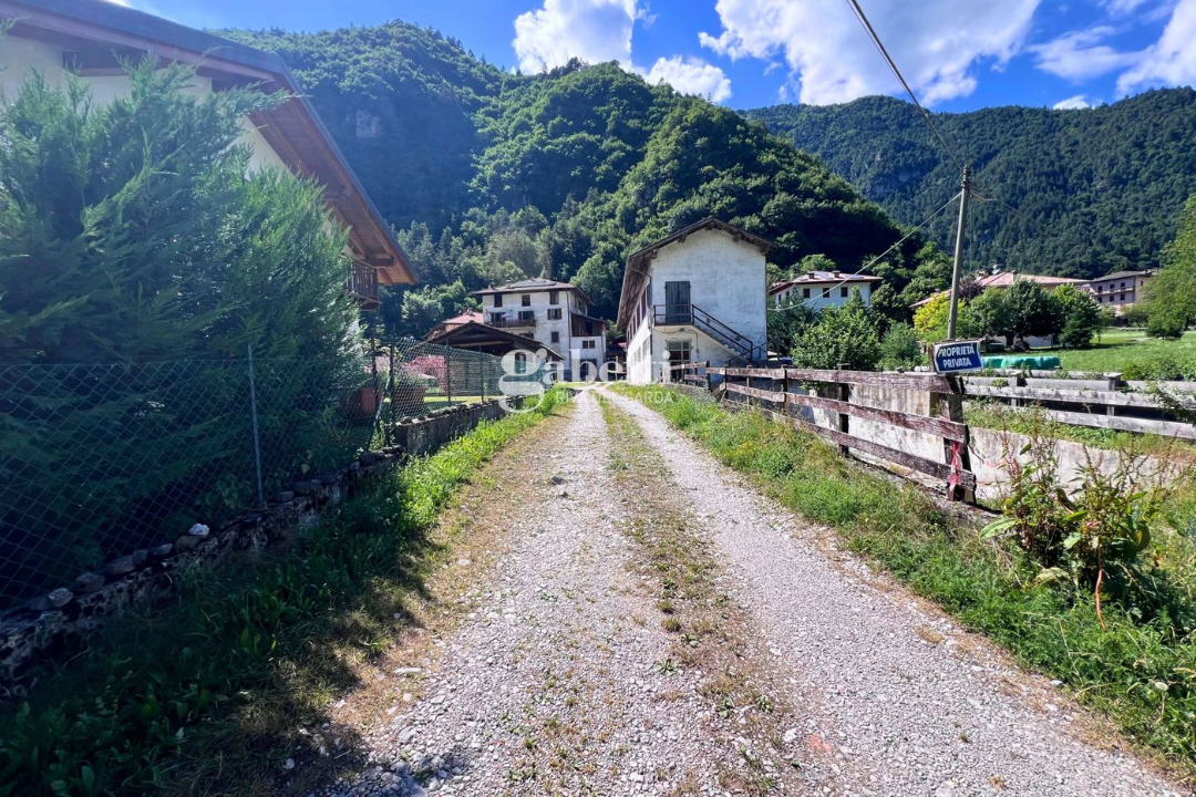 Terreno - Image 7