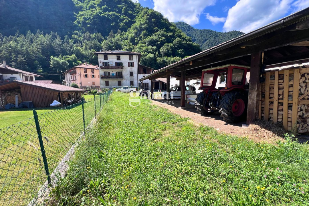 Terreno - Image 9