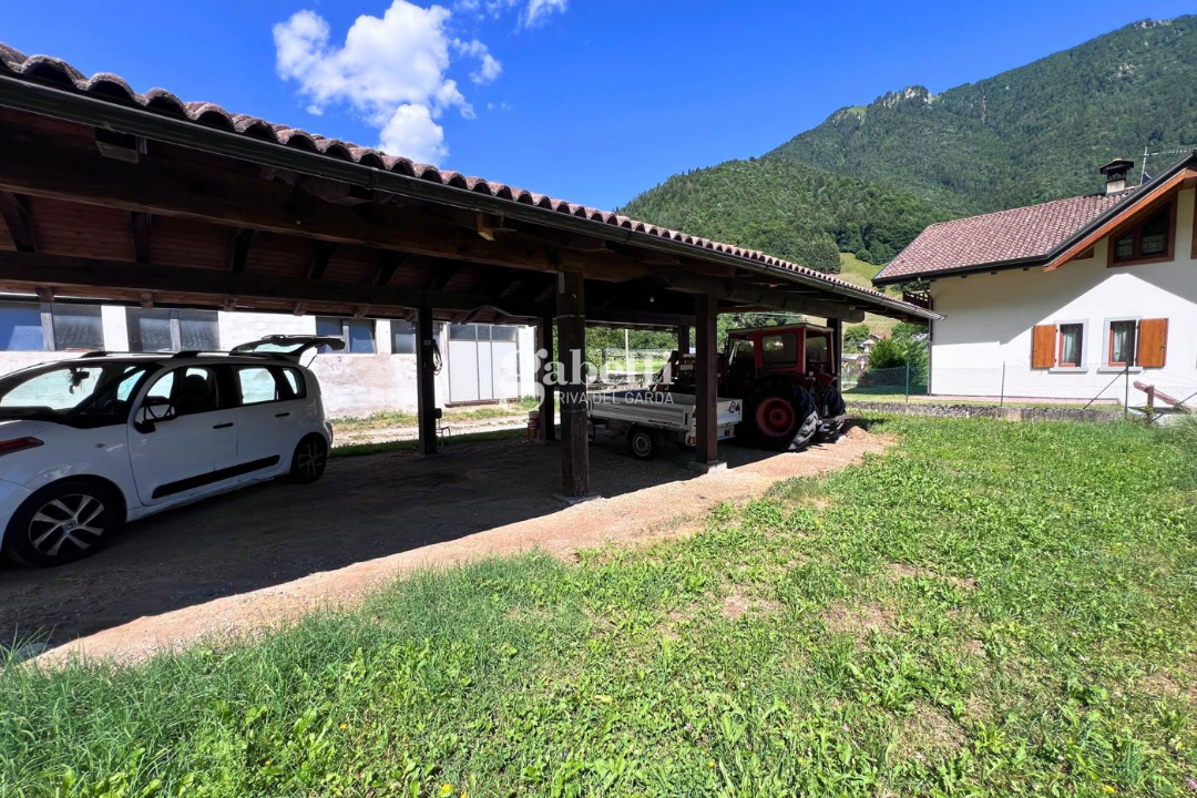 Terreno - Image 17