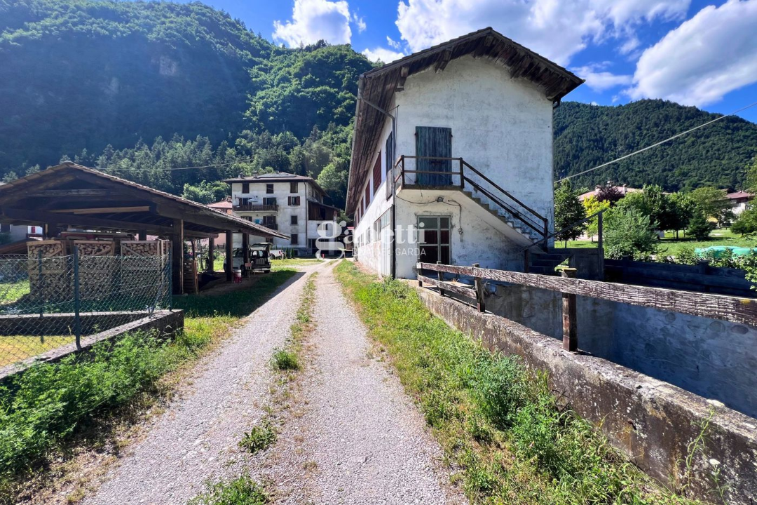 Terreno - Image 8