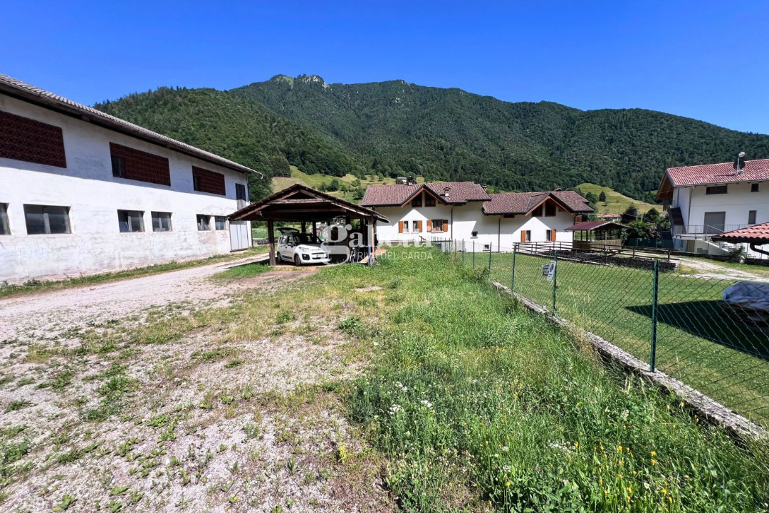Terreno - Image 15