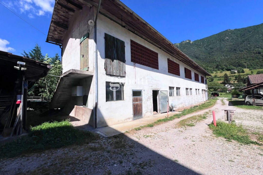 Terreno - Image 14
