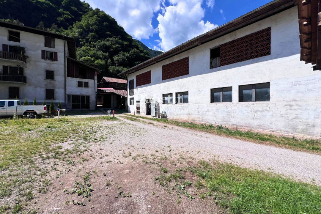 Terreno - Image 24